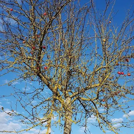 Kamps Hotel Ehrstädt