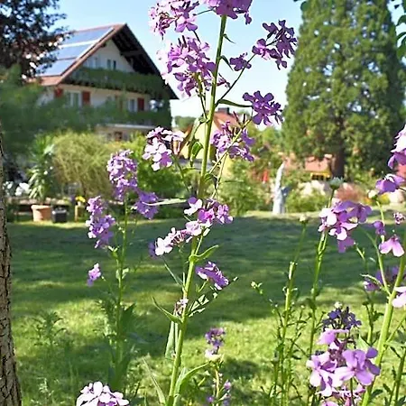 Kamps 3* Ehrstädt