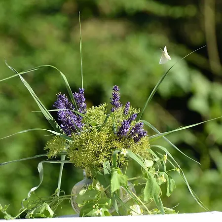 Kamps Hotel Ehrstädt