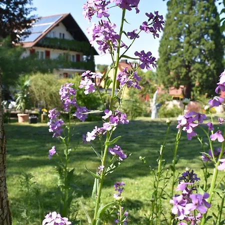 Kamps Hotel Ehrstädt