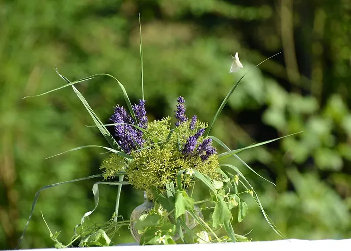 Kamps Hotel Ehrstadt