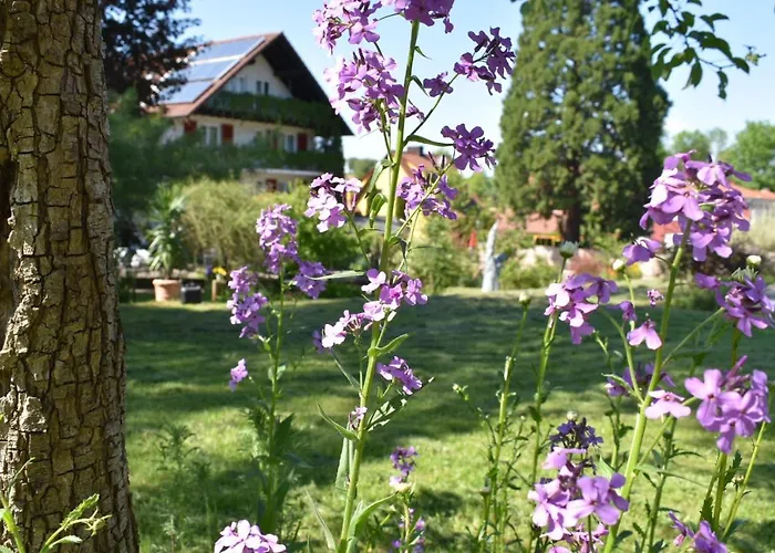 Kamps Hotel Ehrstadt